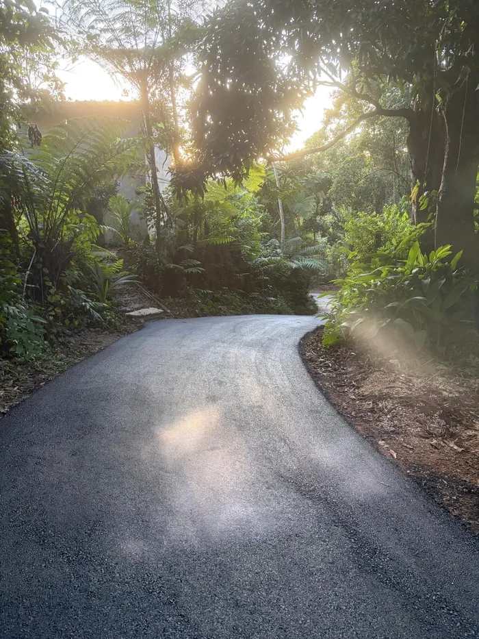 Camino entre la vegetación de Finca Salud al amanecer