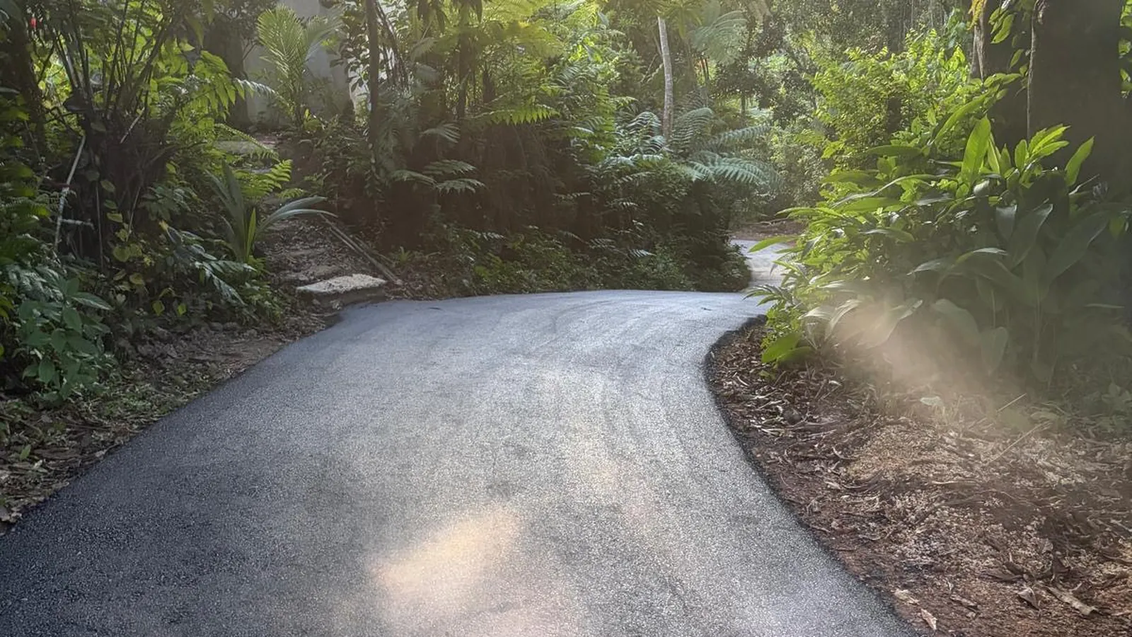 Camino entre la vegetación de Finca Salud en Utuado al amanecer